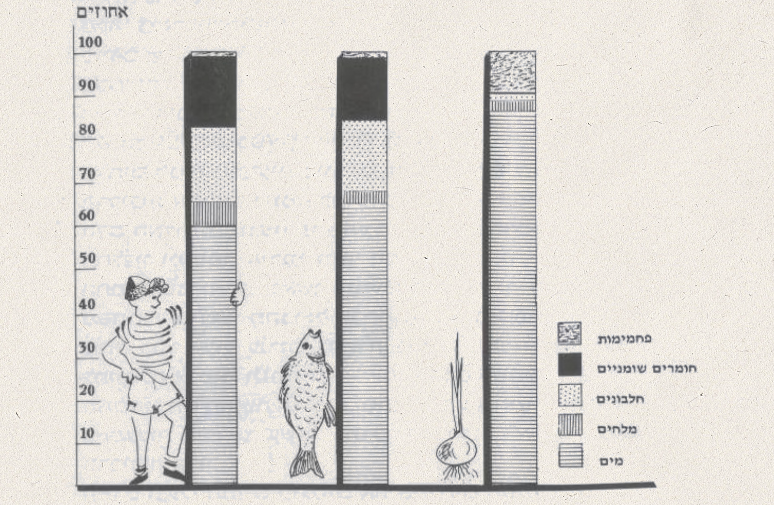 גרף הרכב הגוף